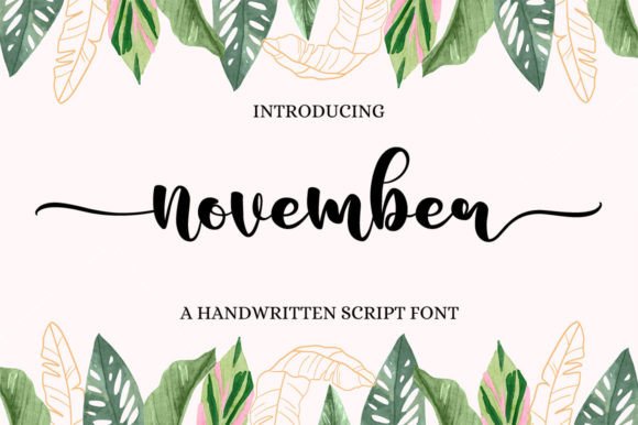 Download November - Premium Bundle