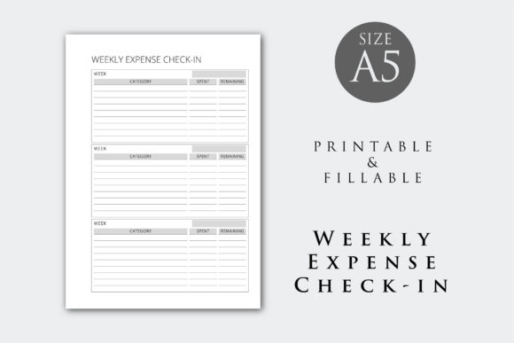 Download Weekly Expense Check-in / Budget Planner - Check Collection
